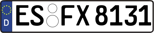 ES-FX8131