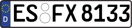 ES-FX8133