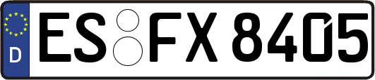 ES-FX8405