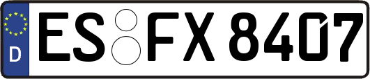 ES-FX8407