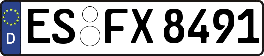 ES-FX8491