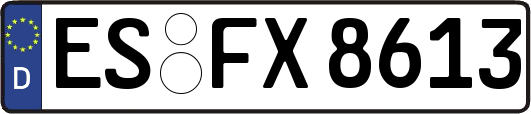 ES-FX8613