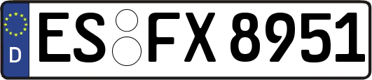ES-FX8951