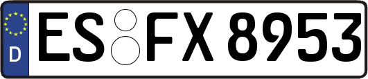 ES-FX8953