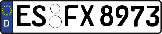 ES-FX8973