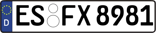 ES-FX8981