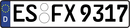 ES-FX9317