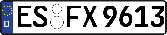 ES-FX9613