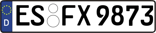 ES-FX9873