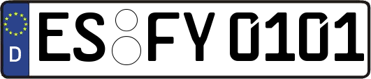 ES-FY0101