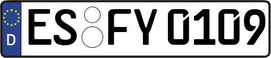 ES-FY0109
