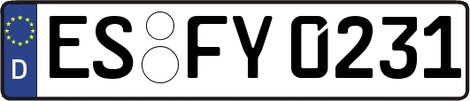 ES-FY0231