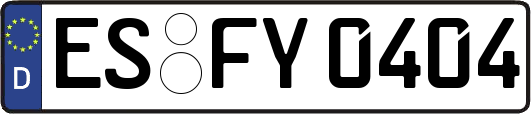 ES-FY0404