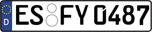 ES-FY0487