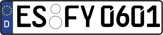ES-FY0601
