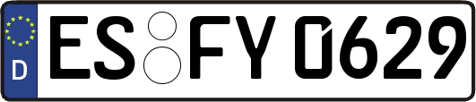 ES-FY0629