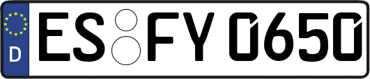ES-FY0650