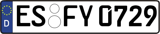 ES-FY0729