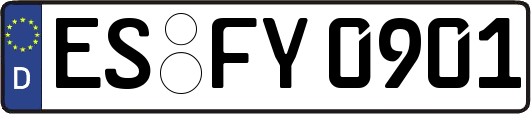 ES-FY0901