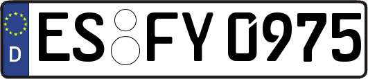 ES-FY0975