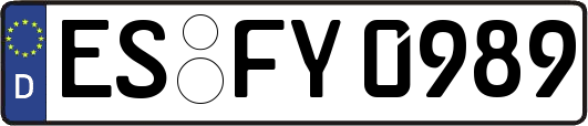 ES-FY0989