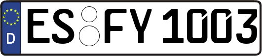 ES-FY1003