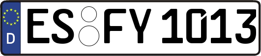 ES-FY1013