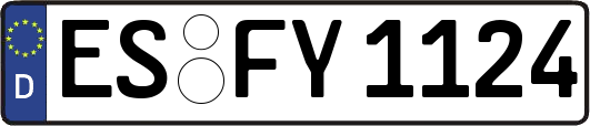 ES-FY1124