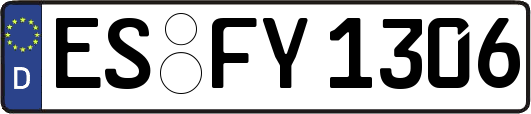 ES-FY1306