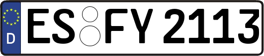 ES-FY2113