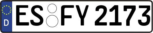 ES-FY2173