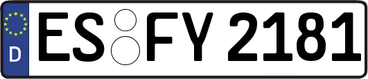 ES-FY2181