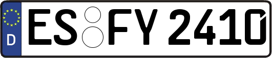 ES-FY2410