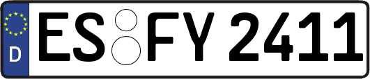 ES-FY2411