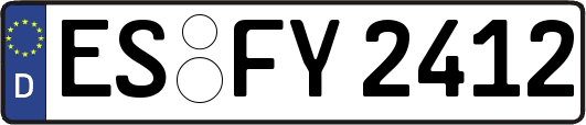 ES-FY2412