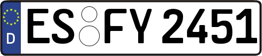 ES-FY2451
