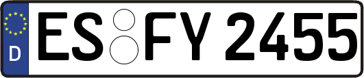 ES-FY2455