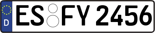 ES-FY2456