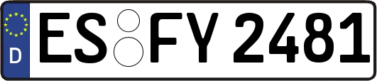 ES-FY2481