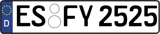 ES-FY2525