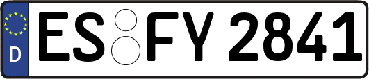 ES-FY2841