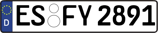 ES-FY2891