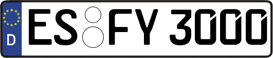 ES-FY3000