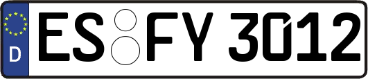 ES-FY3012