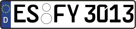ES-FY3013