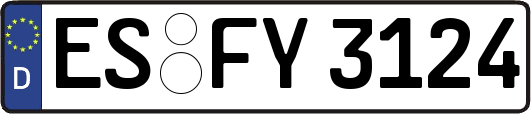 ES-FY3124