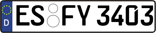 ES-FY3403
