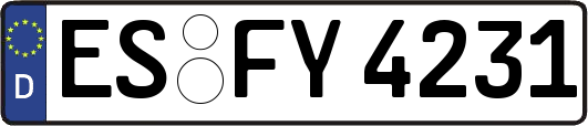 ES-FY4231