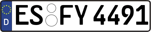 ES-FY4491