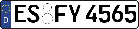 ES-FY4565